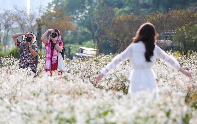 Bên cạnh đó, những người yêu nhiếp ảnh cũng bỏ ra số tiền không hề nhỏ để thuê mẫu, chụp cùng với hoa cúc họa mi