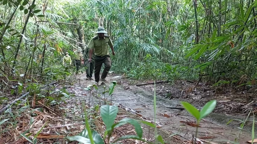 Để giữ chân cán bộ, người lao động ở lại với nghề lâm nghiệp thì cần sớm có cuộc cải tổ chế độ chính sách cho lực lượng này. Ảnh: Phan Tuấn