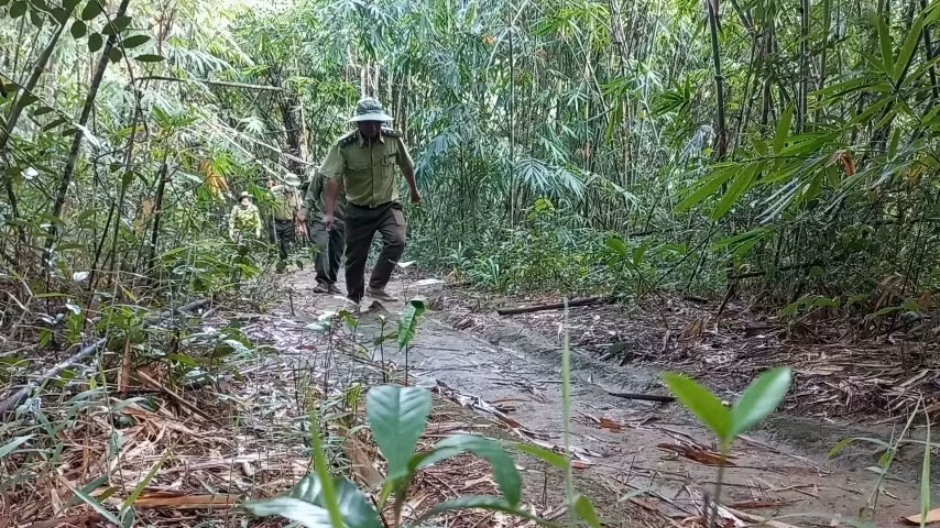 Để giữ chân cán bộ, người lao động ở lại với nghề lâm nghiệp thì cần sớm có cuộc cải tổ chế độ chính sách cho lực lượng này. Ảnh: Phan Tuấn
