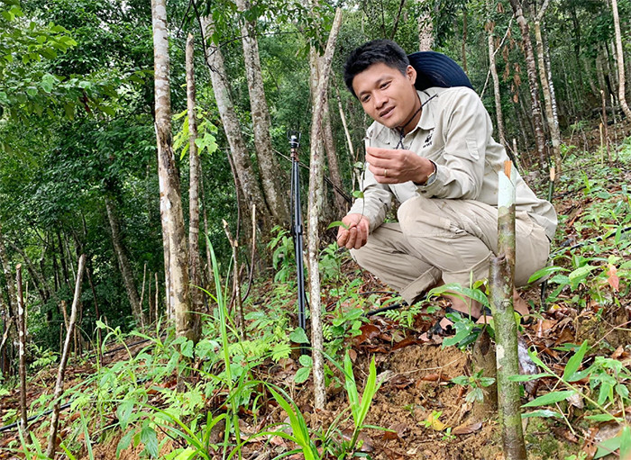 Trong vườn cây dược liệu ươm trồng ba kích.