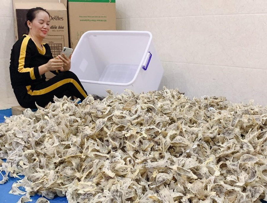 Nhiều nông dân đã có thu nhập lớn mỗi năm. Ảnh: Trần Hiếu Nhiều nông dân đã có thu nhập lớn mỗi năm. Ảnh: Trần Hiếu