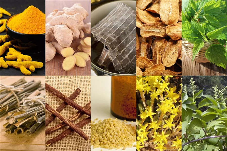 Các loại thảo mộc có tác dụng chữa viêm khớp hiệu quả. Đồ họa: A.N