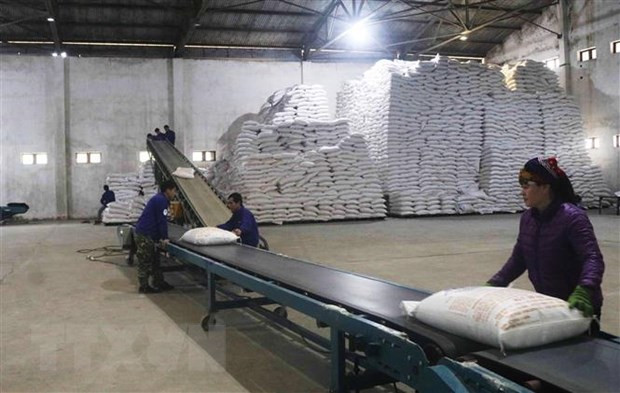 Vận chuyển sản phẩm tại Nhà máy Mía đường Cao Bằng. (Ảnh: Chu Hiệu/TTXVN) Vận chuyển sản phẩm tại Nhà máy Mía đường Cao Bằng. (Ảnh: Chu Hiệu/TTXVN)