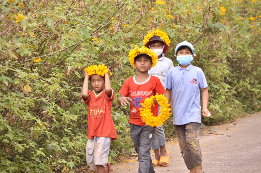Những đứa trẻ bán vòng hoa dã quỳ đội đầu cho du khách trên đường lên núi lửa Chư Đang Ya. Ảnh: Lê Hòa