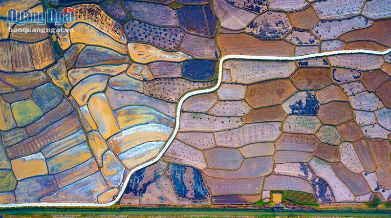  Biểu đồ. (Ảnh: Đoàn Quốc Vương)