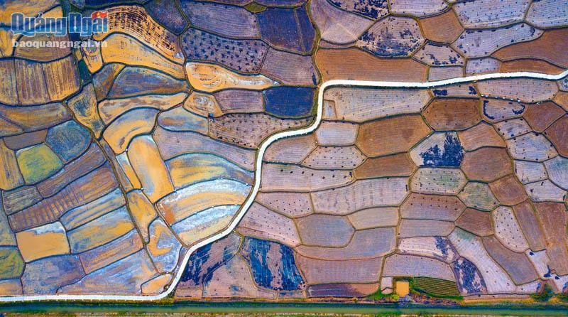  Biểu đồ. (Ảnh: Đoàn Quốc Vương)