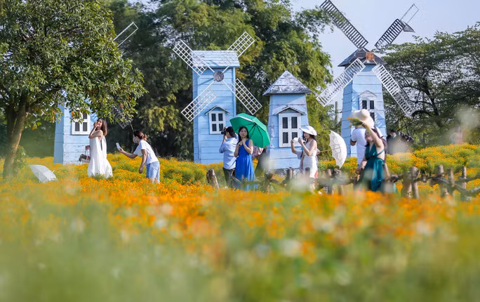  Thời điểm ngày cuối tuần, thời tiết đẹp nên có đông các bạn trẻ đến đây chụp ảnh lưu niệm