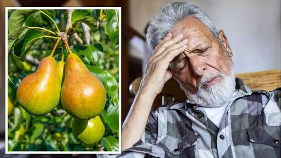 Phát hiện mới: Một quả lê mỗi ngày có thể giảm đến một nửa nguy cơ đột quỵ. Ảnh: Shutterstock