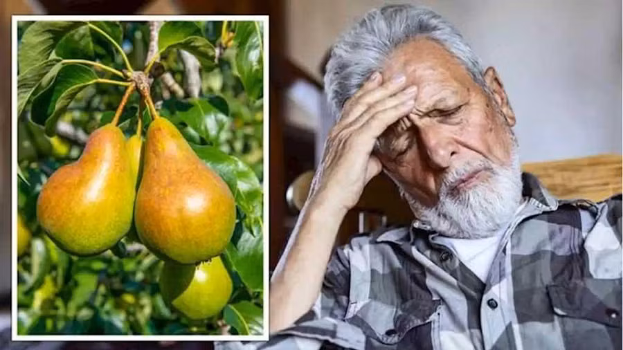 Phát hiện mới: Một quả lê mỗi ngày có thể giảm đến một nửa nguy cơ đột quỵ. Ảnh: Shutterstock