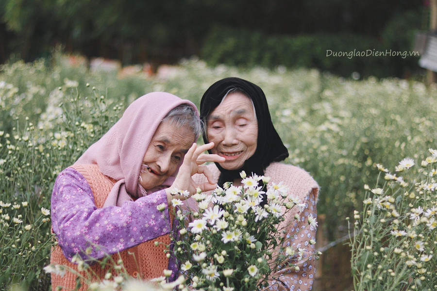Đây là lần đầu bà Hiền được chụp ảnh với cúc họa mi - Ảnh: Trung tâm dưỡng lão Diên Hồng