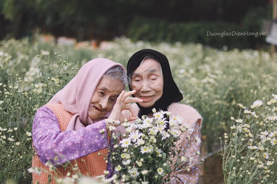 Đây là lần đầu bà Hiền được chụp ảnh với cúc họa mi - Ảnh: Trung tâm dưỡng lão Diên Hồng