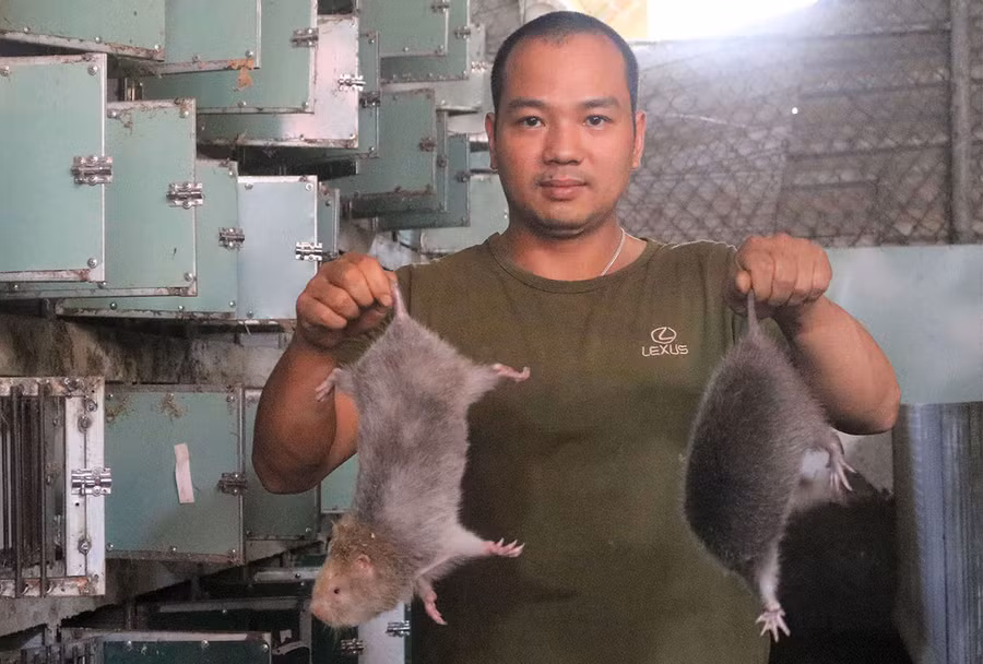  Anh Đào Anh Tuấn và dúi do mình nuôi. Ảnh: Thiêu Di