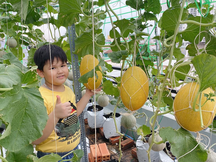 Là chỗ cho các con khám phá thiên nhiên, cây cối. Là chỗ cho các con khám phá thiên nhiên, cây cối.