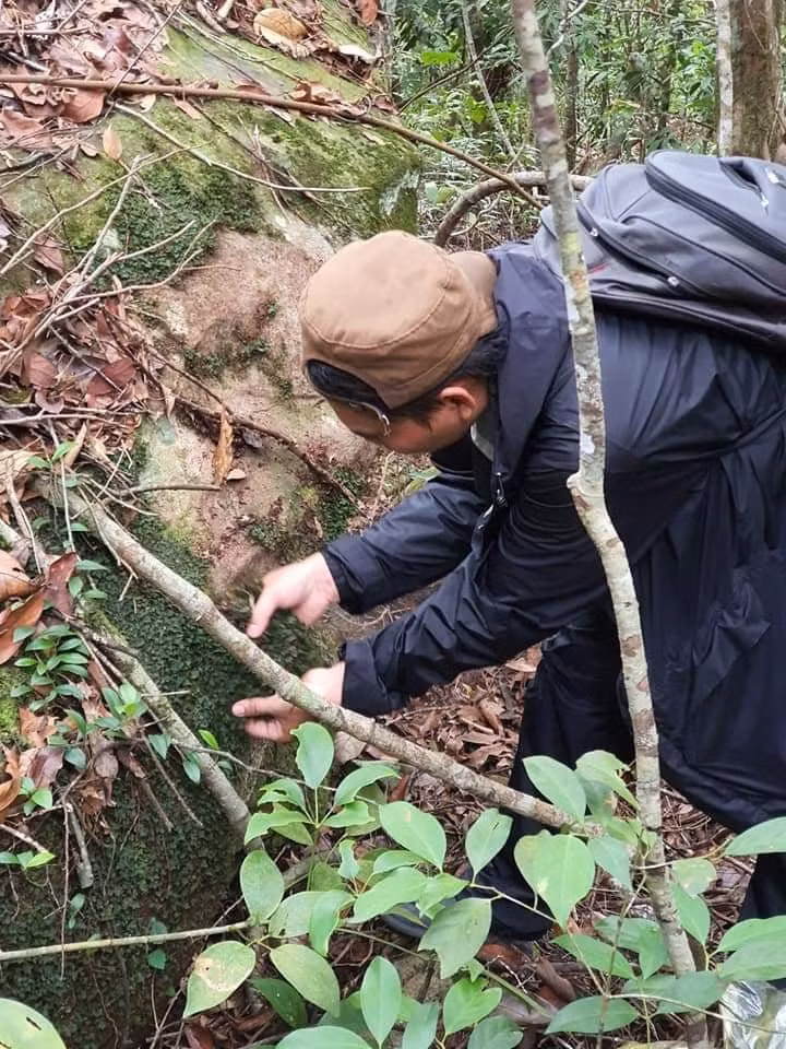 Anh Linh leo núi tìm rêu. Ảnh: NVCC