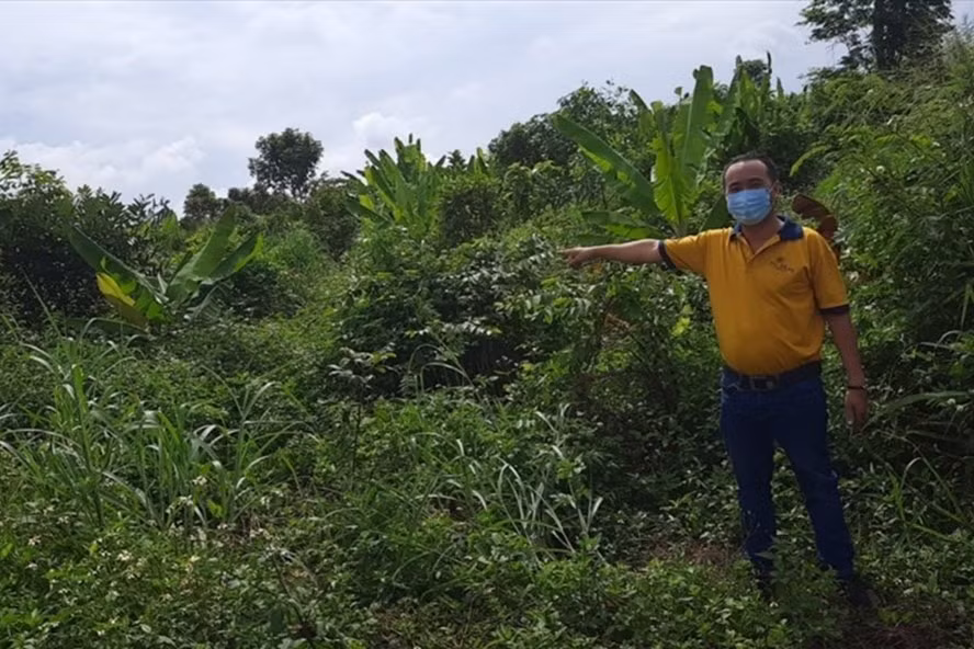 Một nạn nhân tại 