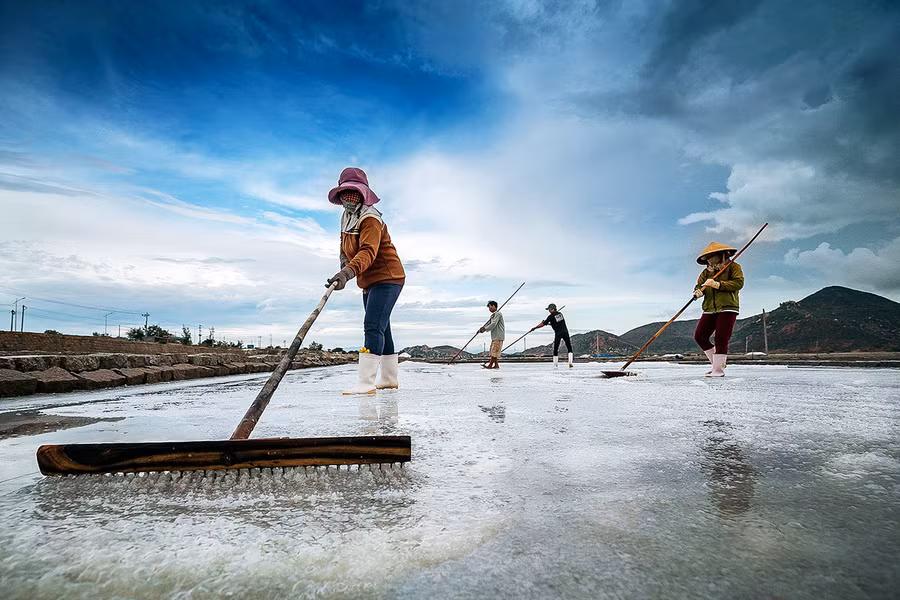  Tác phẩm Thu hoạch muối Đầm Vua của Nghệ sĩ Nhiếp ảnh Nguyễn Linh Vinh Quốc.