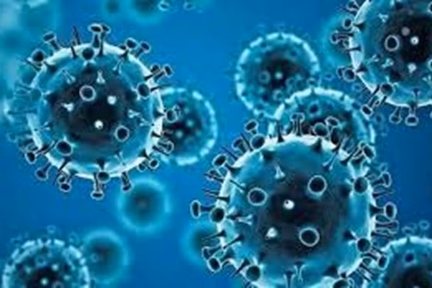 Siêu biến thể Omicron được cho là có khả năng lây nhiễm mạnh. Ảnh: WHO