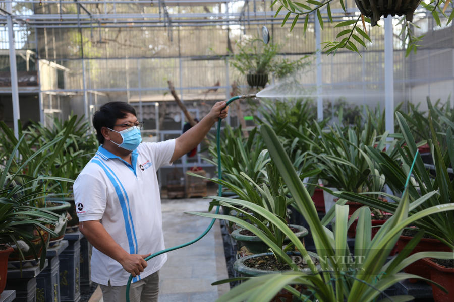 Trong vườn lan của ông Thủy có hàng ngàn giò lan quý hiếm. Ảnh: Ngọc Giàu