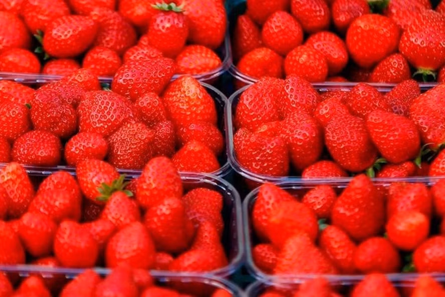 Quả dâu tây có lợi cho bệnh tiểu đường. Ảnh: AFP