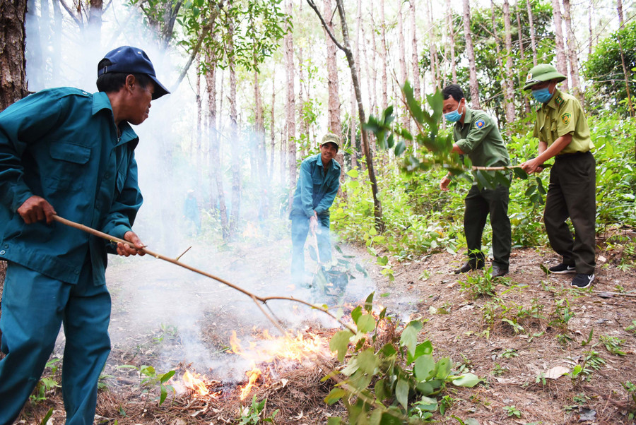 Nhóm hộ nhận khoán bảo vệ rừng làng Tơ Vơn (xã Ia Khươl, huyện Chư Păh) đốt có điều khiển phần thực bì nhằm ngăn ngừa cháy rừng. Ảnh: Minh Phương