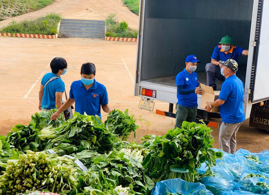Nhóm thiện nguyện của anh Bình chuẩn bị rau củ chuyển đi hỗ trợ bà con vùng dịch các tỉnh, thành phía nam. Ảnh: NVCC