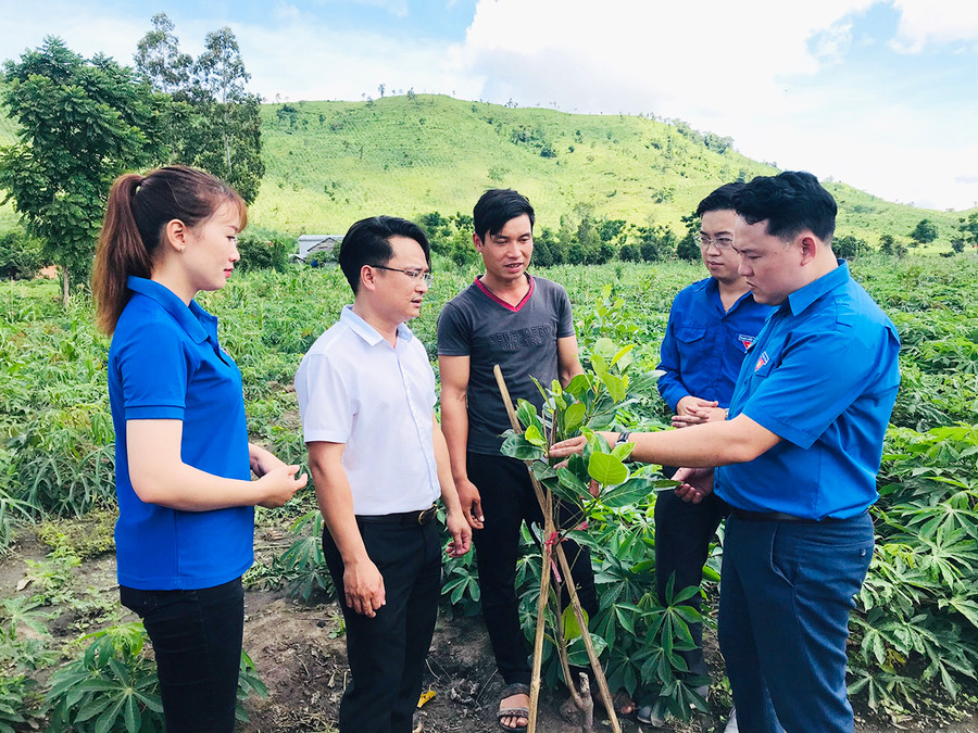 Trồng cây xanh góp phần bảo vệ môi trường và sức khỏe. Ảnh: Phan Lài