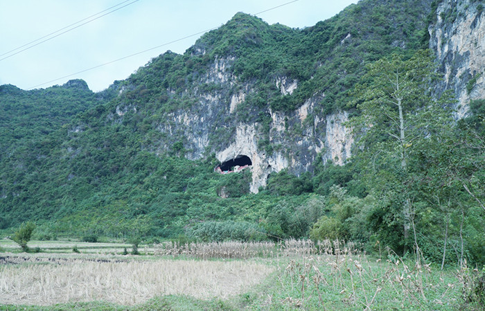 Cửa hang Dơi. Cửa hang Dơi.