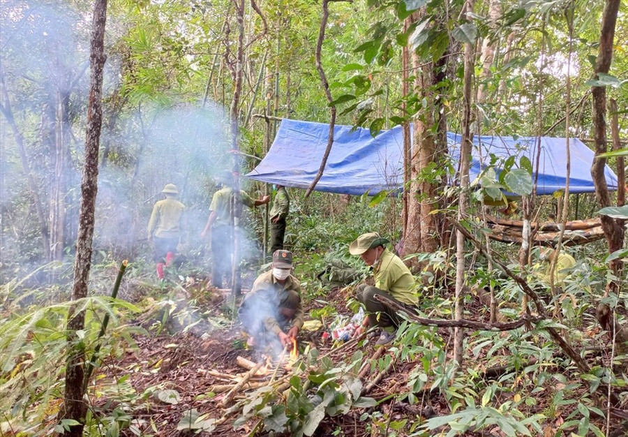 Cũng chỉ khi cải cách được chính sách, chế độ cho cán bộ, người lao động ngành lâm nghiệp thì mới mong tuyển dụng nhân sự mới vào vị trí đang thiếu hụt hiện nay. Ảnh: Phan Tuấn