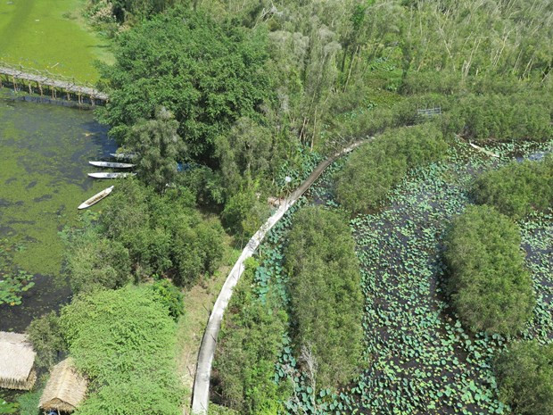 Con đường đan xuyên rừng tràm tại Khu du lịch Làng nổi Tân Lập (Long An) được nhìn từ Tháp khách sạn 8 tầng. Ảnh: Minh Hưng/TTXVN