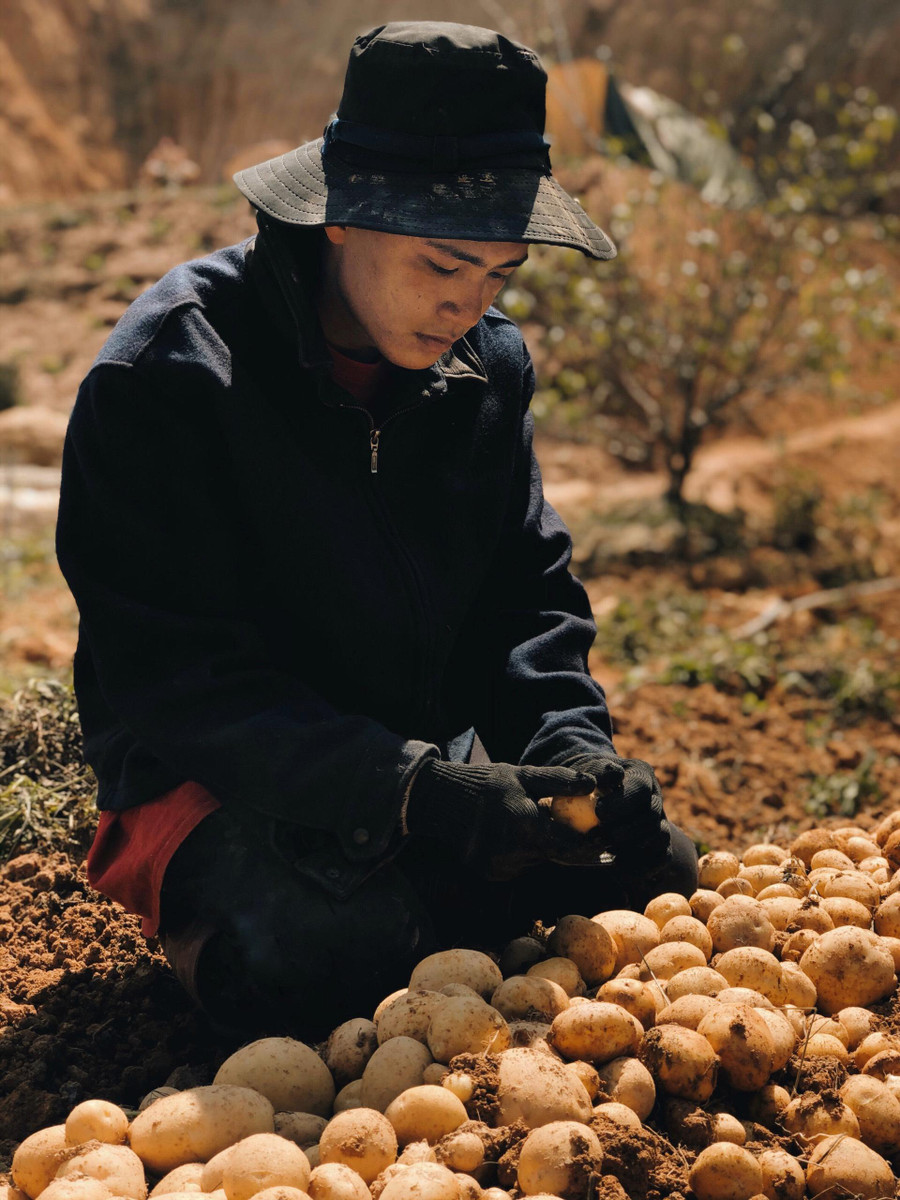  Từ chàng sinh viên tốt nghiệp Trường ĐH Luật TP.HCM, Thịnh từ bỏ tất cả để về làm chàng nông dân thực thụ với ước mơ về nền nông nghiệp hữu cơ và bền vững