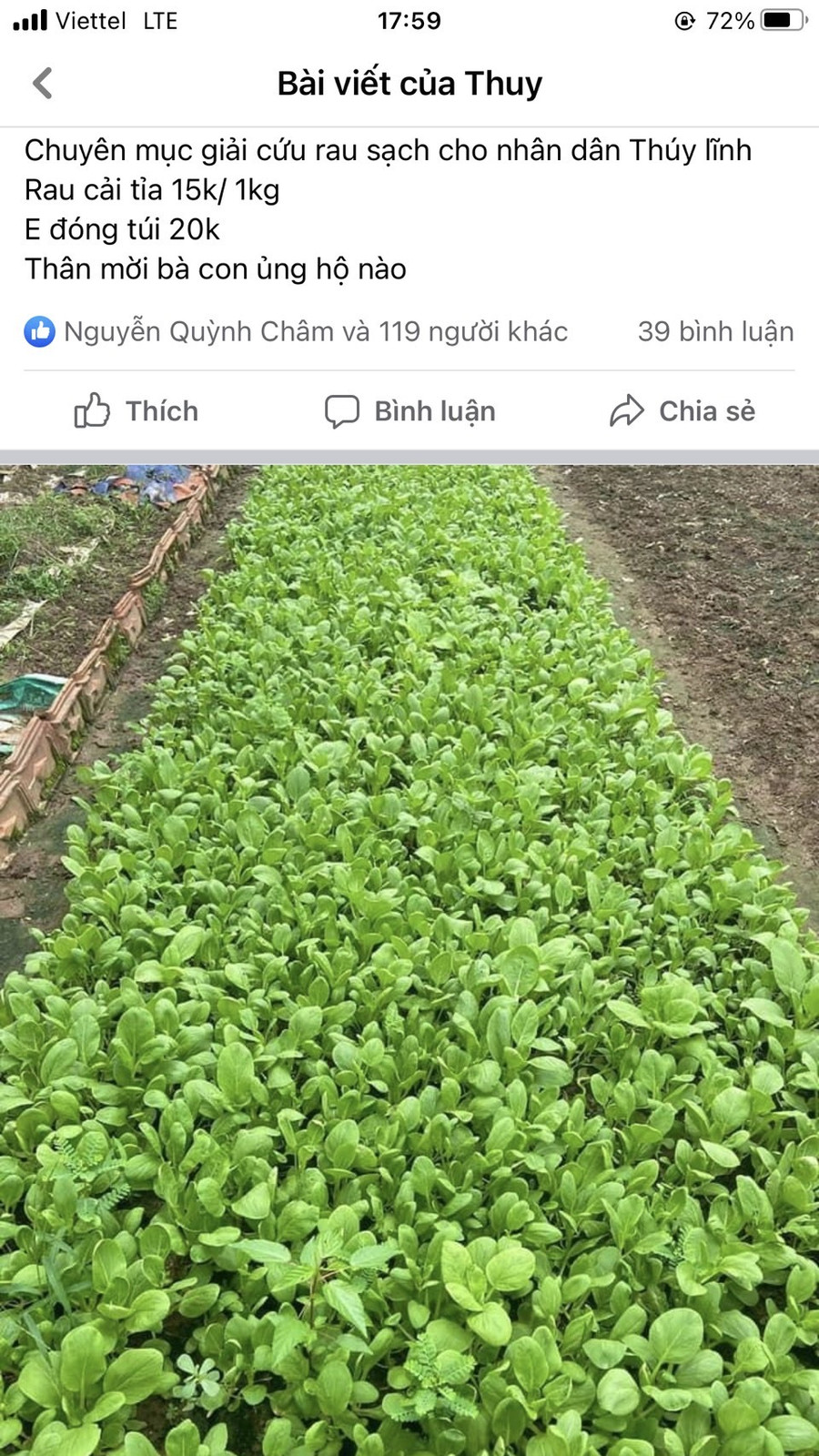  Giáo viên mầm non tư thục bán rau kiếm sống trong những ngày trường học đóng cửa. Ảnh: NVCC.