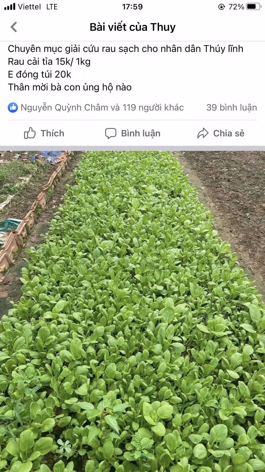  Giáo viên mầm non tư thục bán rau kiếm sống trong những ngày trường học đóng cửa. Ảnh: NVCC.