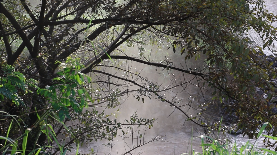 Nước từ thác tuôn xuống mạnh mẽ khiến bọt nước văng lên tận cành cây. Ảnh: Sầm Ánh