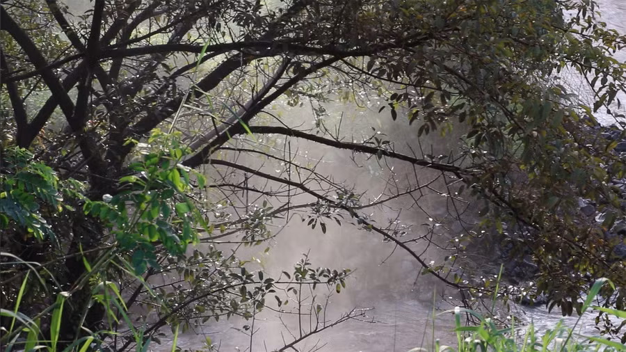 Nước từ thác tuôn xuống mạnh mẽ khiến bọt nước văng lên tận cành cây. Ảnh: Sầm Ánh