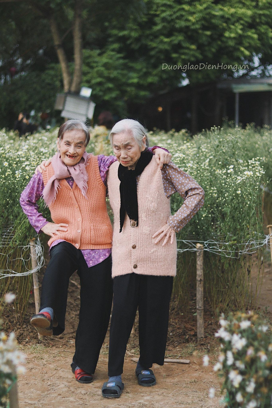 Ai nấy đều thích thú với bộ ảnh của hai bà - Ảnh: Trung tâm dưỡng lão Diên Hồng