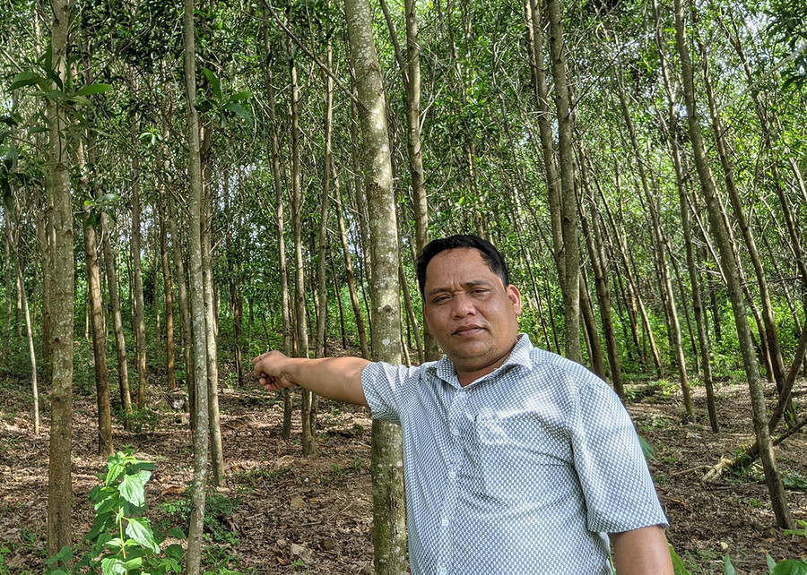 Hiện nay, anh Đinh Văn Loai (làng Groi) có 18 ha trồng keo và bạch đàn. Ảnh: Nguyễn Hiền Hiện nay, anh Đinh Văn Loai (làng Groi) có 18 ha trồng keo và bạch đàn. Ảnh: Nguyễn Hiền