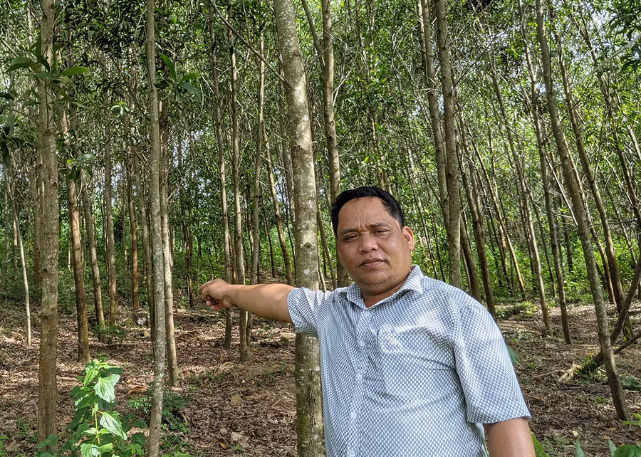  Hiện nay, anh Đinh Văn Loai (làng Groi) có 18 ha trồng keo và bạch đàn. Ảnh: Nguyễn Hiền