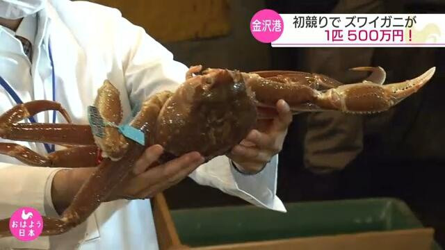  Con cua bán được giá trên 5 triệu yen. Ảnh: NHK