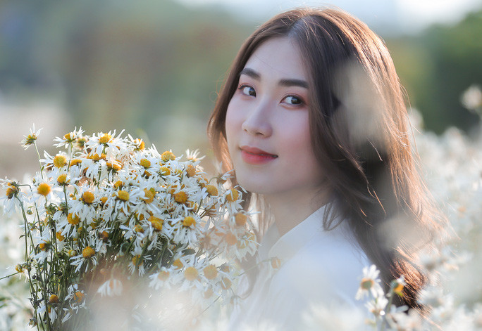 Loài hoa cúc họa mi đặc trưng chỉ nở vào khoảng tháng 11, và rong ruổi theo gánh hàng hoa, xe hoa của các bà, các cô tràn về khắp các con đường ngõ phố Hà thành để đến với người yêu hoa