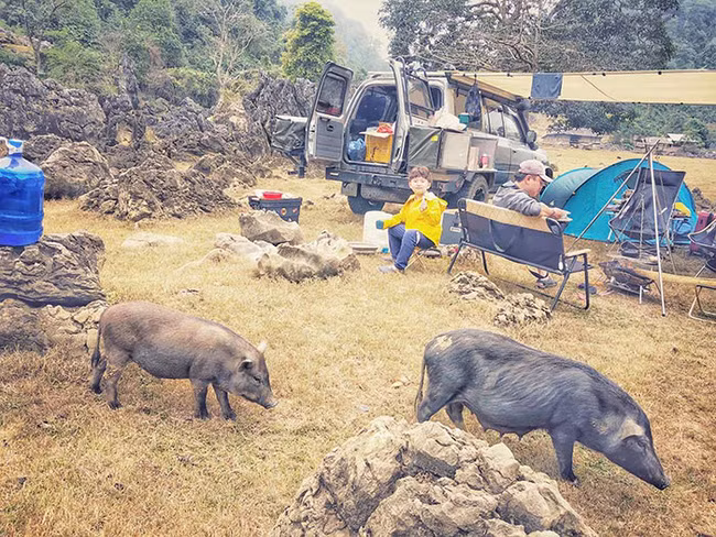 Thú vị nhất với các bé 