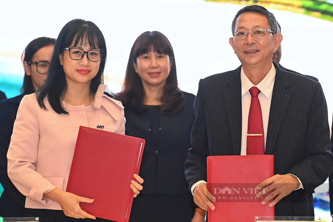 Bình Định ký kết thỏa thuận hợp tác chiến lược thúc đẩy phát triển du lịch với nhiều địa phương. Ảnh: TT.