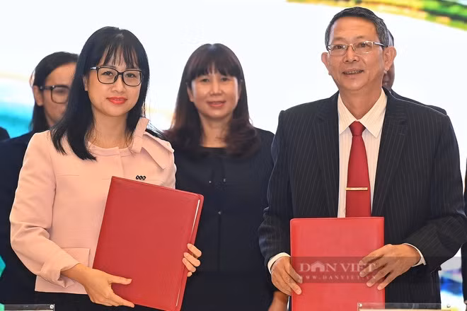 Bình Định ký kết thỏa thuận hợp tác chiến lược thúc đẩy phát triển du lịch với nhiều địa phương. Ảnh: TT.