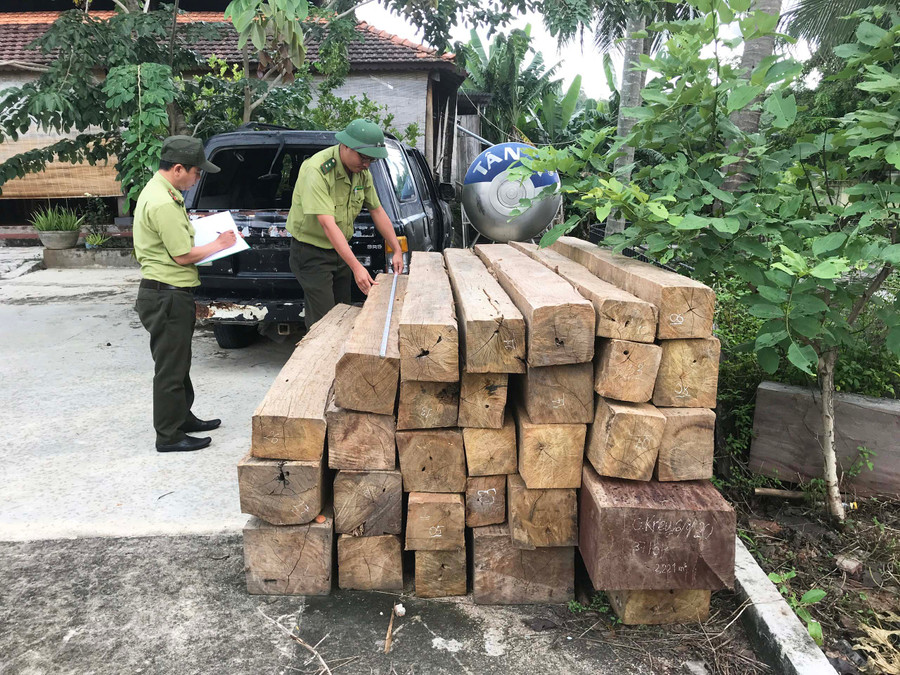 Tang vật các vụ vi phạm Luật Lâm nghiệp tại Hạt Kiểm lâm huyện Kông Chro. Ảnh: Nguyễn Diệp