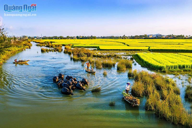 Khúc sông quê. (Ảnh: Nguyễn Hữu Thư)