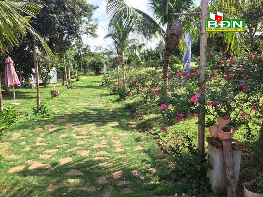 Lá Homestay đưa du khách về với màu xanh và sự dịu êm của thiên nhiên (Đắk Mil)