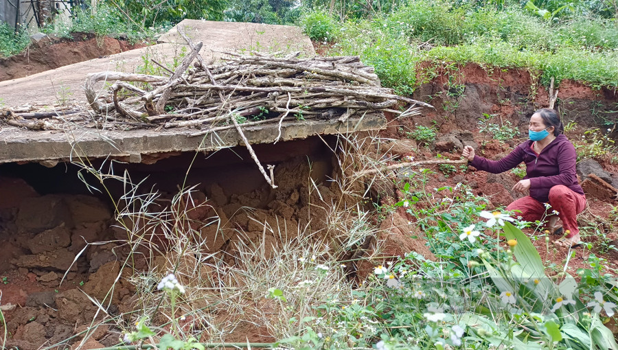 Sụt lún phần đất bên dưới khiến cho con đường bê tông dân sinh không thể sử dụng được. Ảnh: Văn Long Sụt lún phần đất bên dưới khiến cho con đường bê tông dân sinh không thể sử dụng được. Ảnh: Văn Long.