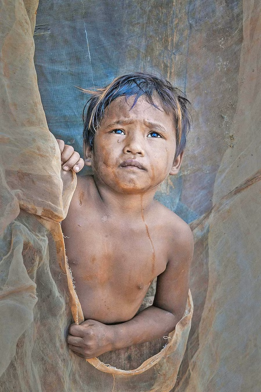 Tác phẩm “Núp nắng” của tác giả Nguyễn Linh Vinh Quốc được chọn triển lãm tại cuộc thi ảnh quốc tế “Nhiếp ảnh gia môi trường” năm 2021.