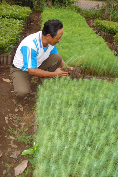 Ảnh: Nguyễn Diệp