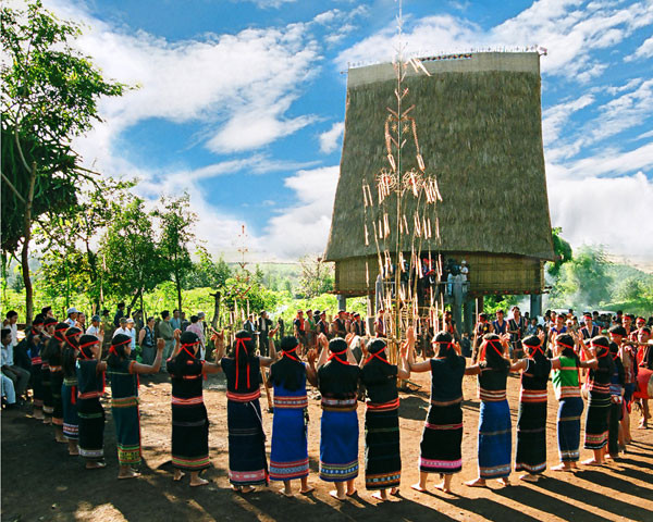 Ảnh: Trần Phong Ảnh: Trần Phong