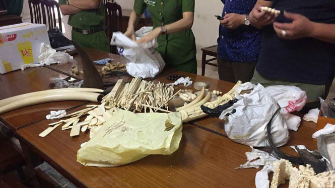 Sừng tê giác và sản phẩm chế tác từ ngà voi bị cơ quan công an thu giữ tại nhà của Chiến Sừng tê giác và sản phẩm chế tác từ ngà voi bị cơ quan công an thu giữ tại nhà của Chiến